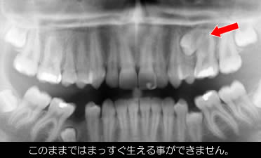 ǂ̋